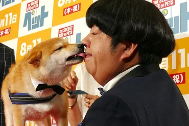 バナナマン日村、SNS影響力第2位の柴犬とディープキス!「舌が入ってきた」