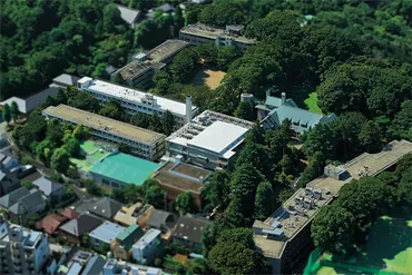沿革