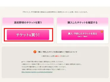 甲チケ」高校野球チケット販売サイトについて